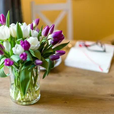 Cichy Zakątek Przy Starym Rynku Apartament *