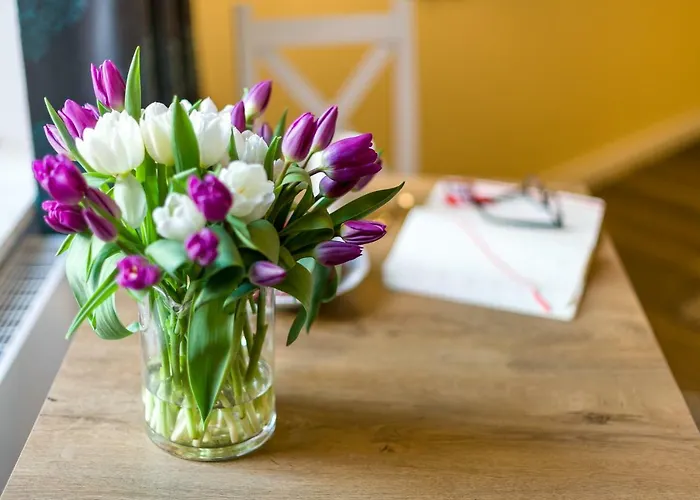 Cichy Zakatek Przy Starym Rynku Apartment *